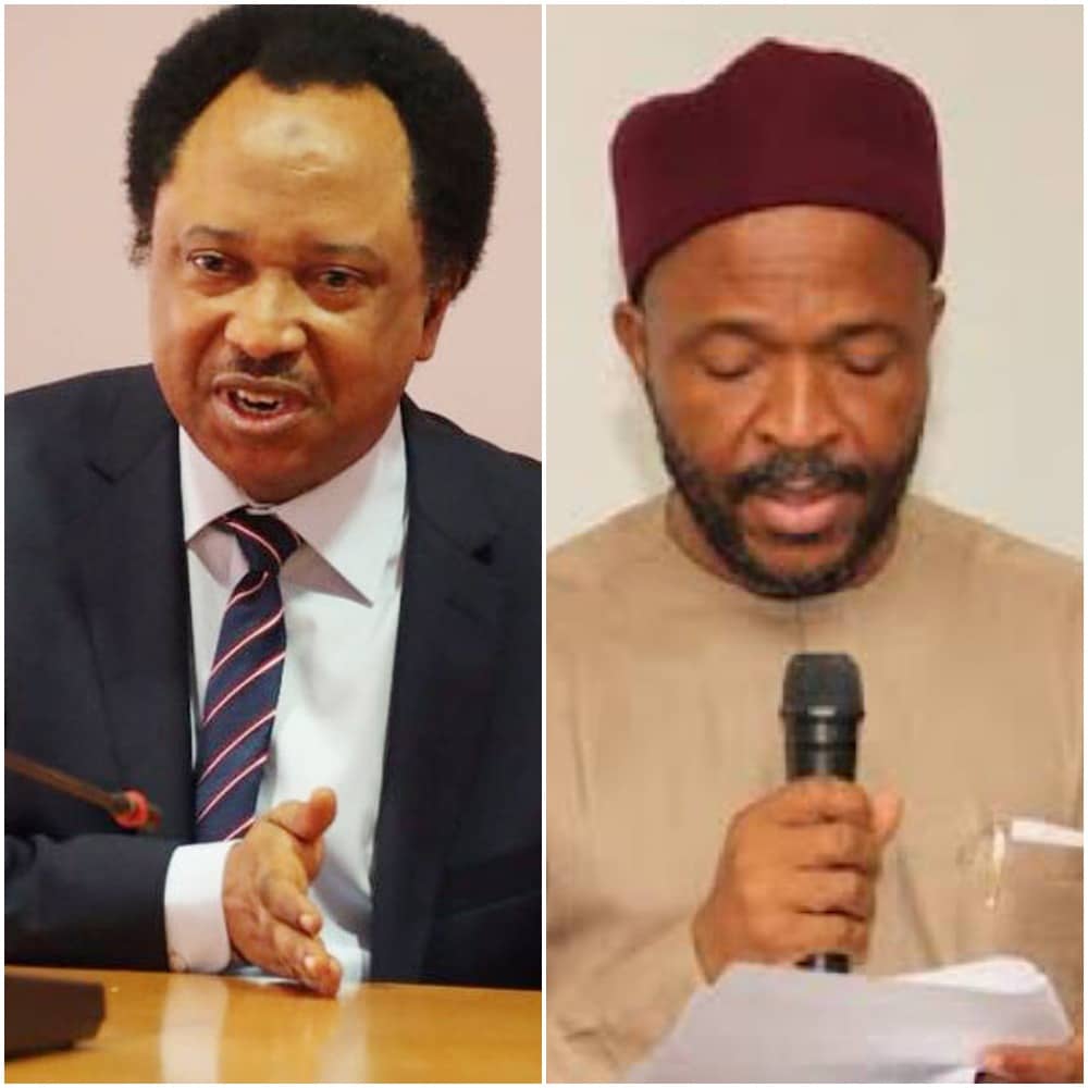 Shehu Sani Mocks Nwajuiba Over Absence At APC Presidential Primaries