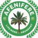 Afenifere Appoints New Leader In Ondo