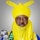 Emir Of Kano Supports Passage Of Child Healthcare Bill