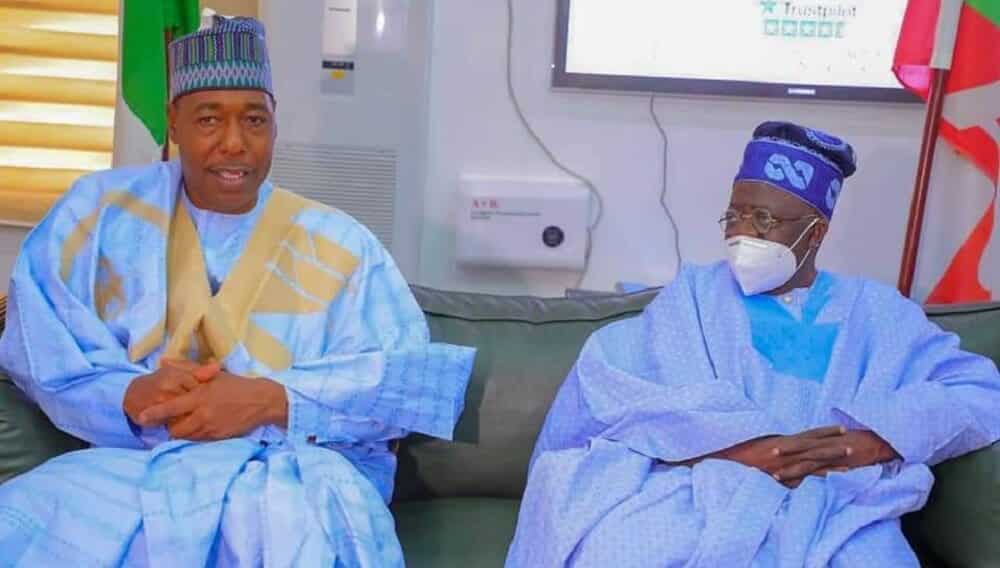 Borno-Governor-Babagana-Zulum-and-Asiwaju-Bola-Ahmed-Tinubu