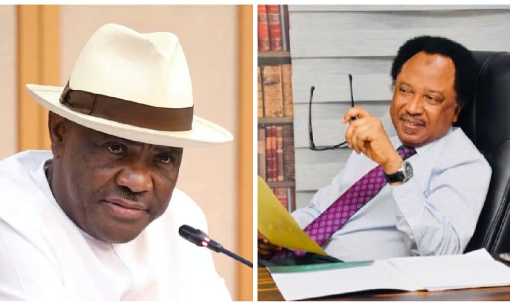 APC: May The Lord Save Wike Like He Saved Jonathan - Shehu Sani Prays