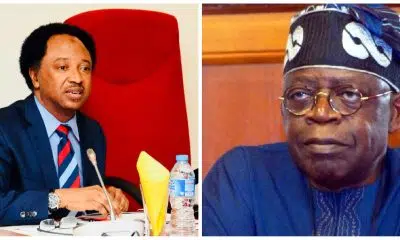 'Tell Nigerians What Is In The Book' - Shehu Sani Challenges Tinubu