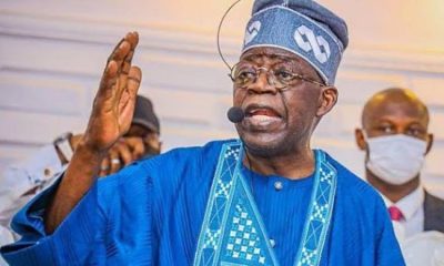 2023: Why I Want Tinubu To Become President - PDP Cheiftain