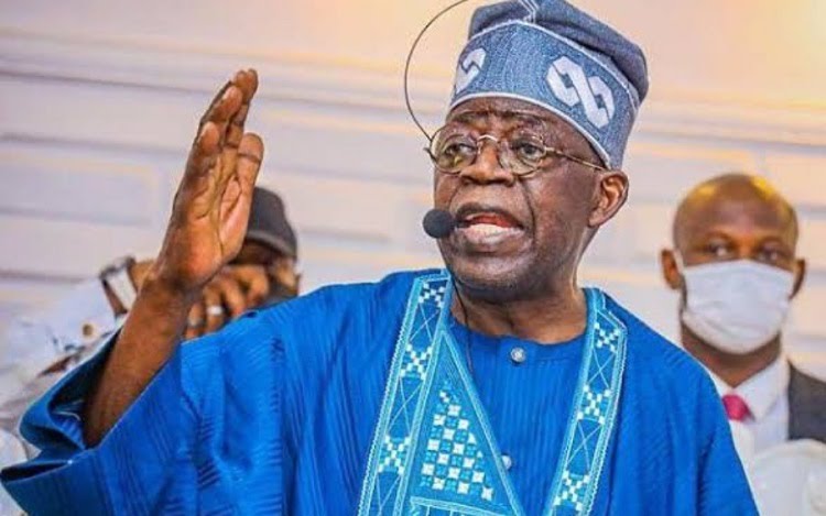 Oyo Park Chairman Lands In Court For Damaging Tinubu's Billboards