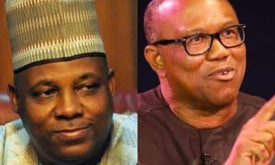 Nigeria Is Too Big For Him To Handle, Peter Obi Can Only Be President Of Igboland - Shettima