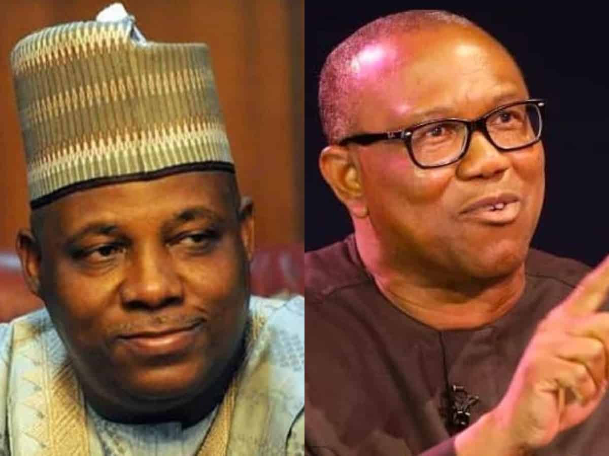 Nigeria Is Too Big For Him To Handle, Peter Obi Can Only Be President Of Igboland - Shettima