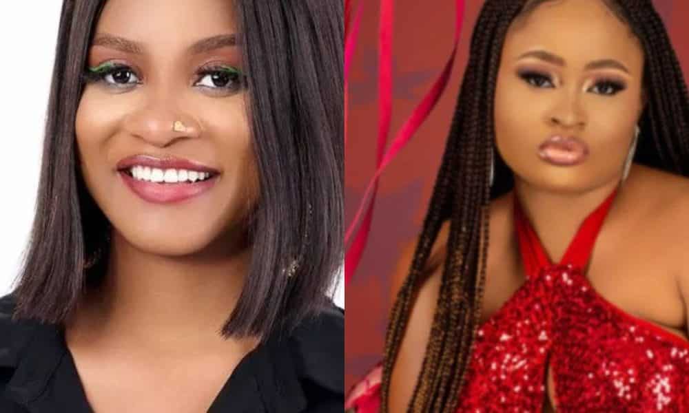 #BBNaija: Housemates Phyna And Amaka Record First Major Fight Of Season 7 As Amaka Cries (Video)