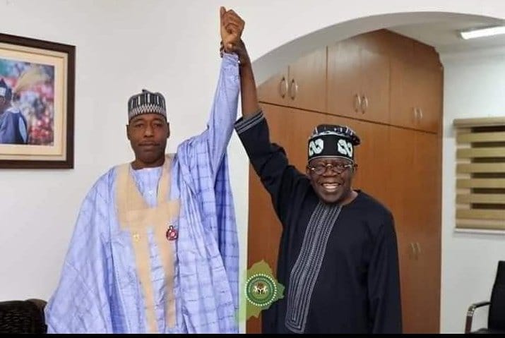 2023: Picture Of Zulum And Tinubu Sparks Rumour Of His Emergence As Running Mate