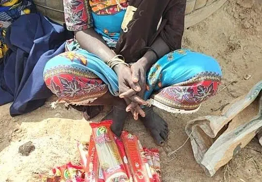 Troops Arrest Seven Boko Haram Logistics Suppliers In Borno