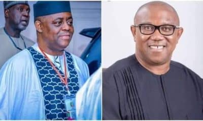 You're A Liar, Stop Trying To Cause Ethnic Crisis - Fani-Kayode Slams Peter Obi