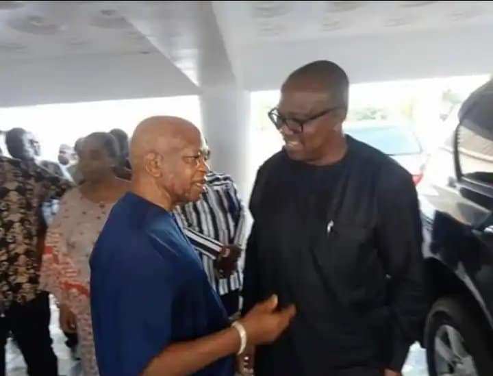 2023: Reactions Trail Peter Obi's Meeting With Arthur Eze
