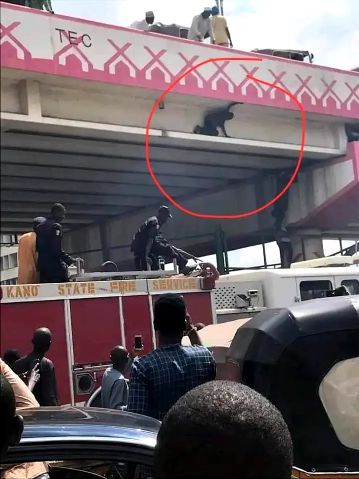 Teenager Climbs Kano Flyover, Threatens To Commit Suicide If Buhari Does Not Resign