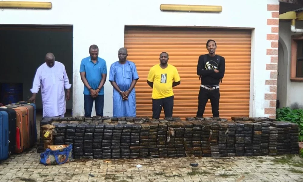 Shehu Sani Reacts As NDLEA Burst Biggest Cocaine Warehouse In Nigeria