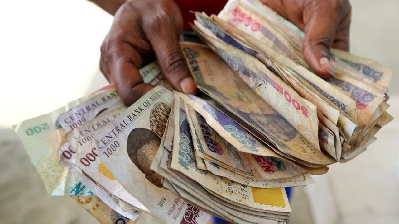 2023: Why Old Naira Notes Must Not Return To Circulation Before 25th - Sani