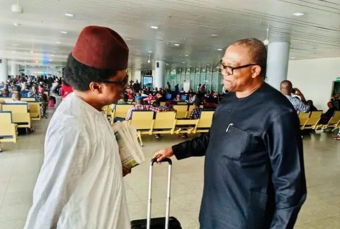 'You Will Destroy The Obidient Movement' - Shehu Sani Warns Peter Obi To Stop Apologizing