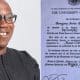 2023: Peter Obi's Camp Releases 'Evidence' On His University Degree After INEC Publication