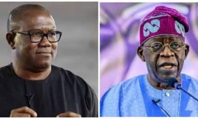 Obi Leads In Three Benue LGAs As Tinubu Wins Two, Secures Highest Votes