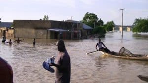 Floods Disaster: 50 Killed, 172,000 Farmlands Swept In Adamawa Communities – Official