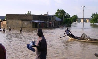 Floods Disaster: 50 Killed, 172,000 Farmlands Swept In Adamawa Communities – Official