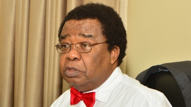 Niger: We Also Have Civilian Coups - Prof. Akinyemi