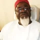 There Will Be No Nigeria If Tinubu Is Sworn In As President - Ezeife