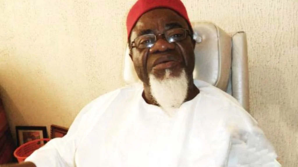 There Will Be No Nigeria If Tinubu Is Sworn In As President - Ezeife