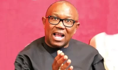 Scanty And Empty Rallies: Peter Obi Is Not A Contender - Atiku Camp