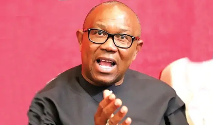 'Leave Obi Alone, Face Your Partner In Foul Language, APC' – LP Fires PDP