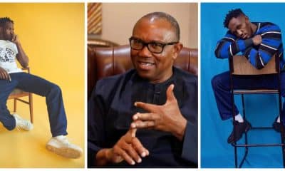 Five Important Thing Nigerians Should Know About Peter Obi's Son, Oseloka