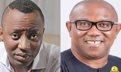 I'm Not Envious Of Peter Obi's Popularity- Sowore