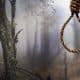 Policeman Commits Suicide Over Wife's Extramarital Affair