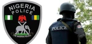 Presidential Tribunal: Police To Arraign Man Who Accused Fashola Of Writing Judgement For Tribunal Judges