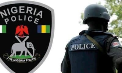Police Arrest Repentant Boko Haram Terrorist For Money Theft In Borno