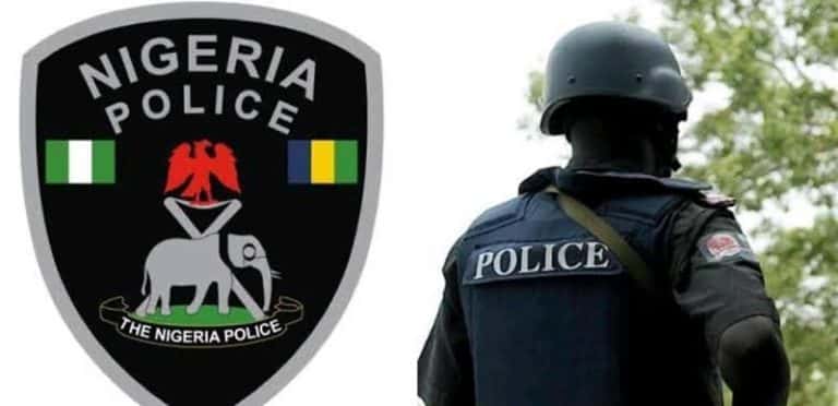 Outrage As Policemen Dehumanize Woman In Delta [Video]