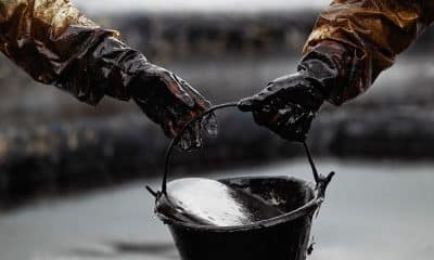 See First Sample Of Crude Oil From Kolmani Oil Field In Northern Nigeria - [Photos]