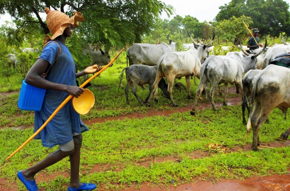 Anambra People No Long Rent Houses To Us - Fulani Herdsmen Laments