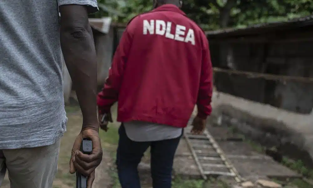 Just In: NDLEA Operatives Shoot Two People Dead During Raid In Lagos