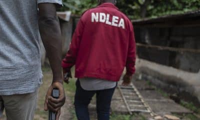 BREAKING: Gunmen Open Fire On NDLEA Operatives In Lagos