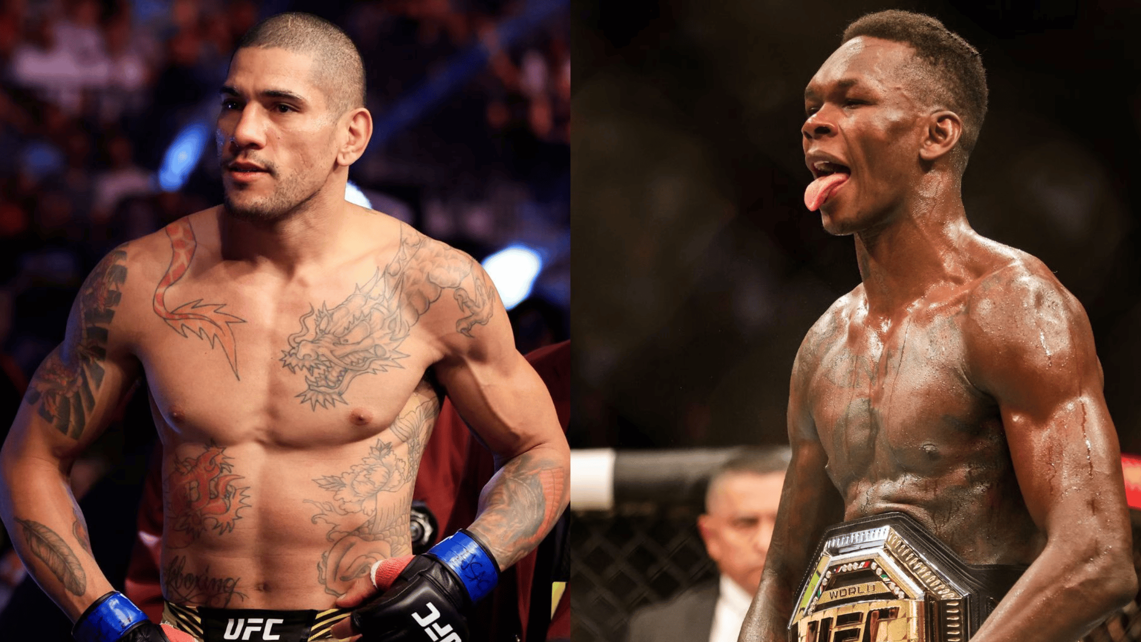 Zahabi claims Pereira may have "put Adesanya's career to rest."