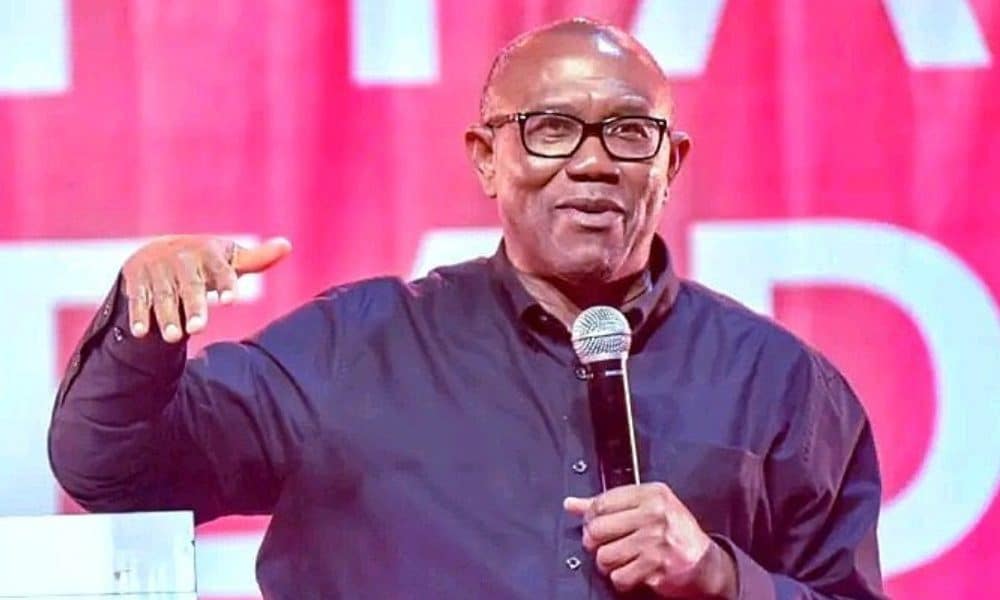 I’m Not A Saint, Equally Not A Thief - Peter Obi