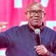 Why We Are Supporting Peter Obi's Presidential Bid - Ohanaeze