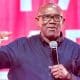 I’m Not A Saint, Equally Not A Thief - Peter Obi