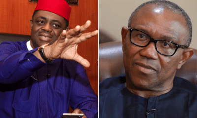 2023 Election Results: Fani-Kayode Reacts To Report That Peter Obi Won 19 States