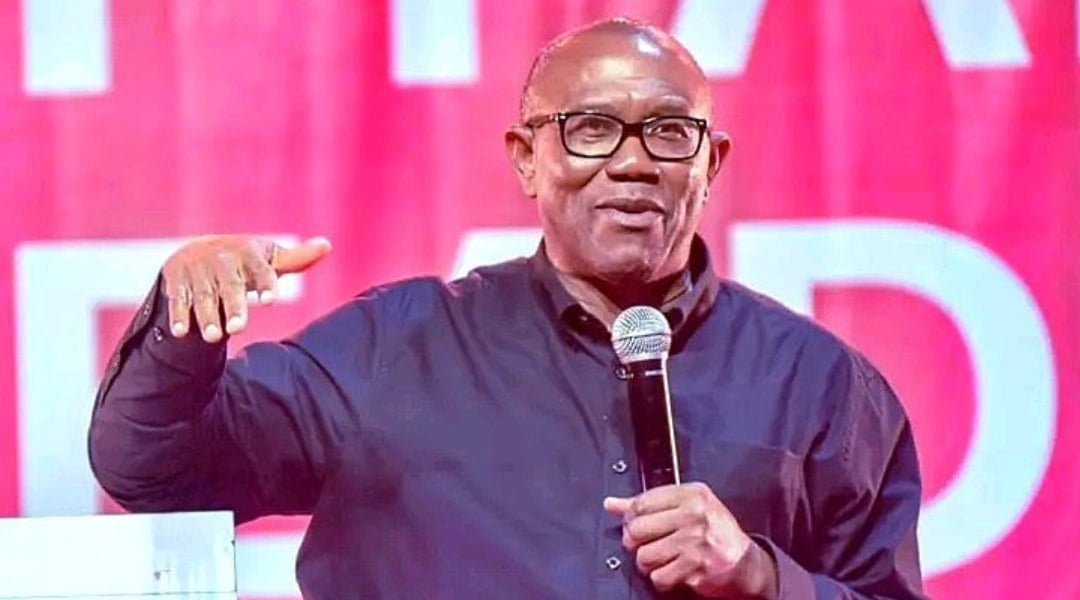 I’m Not A Saint, Equally Not A Thief - Peter Obi