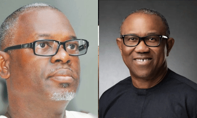 2023: We Shall Celebrate - Osuntokun Makes Fresh Promise To Peter Obi, Obidients