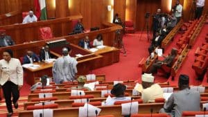 Senate Takes Action On Motion Seeking Re-opening Of Nigeria's Borders With Niger Republic