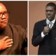 2023 Presidency: Reno Omokri Reacts As Arthur Eze Ditch Peter Obi