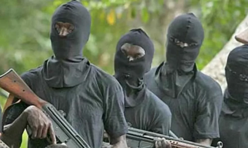 Kaduna: Escaped Student Narrates How Bandits Moves Victims Like 'Herd Of Cows'