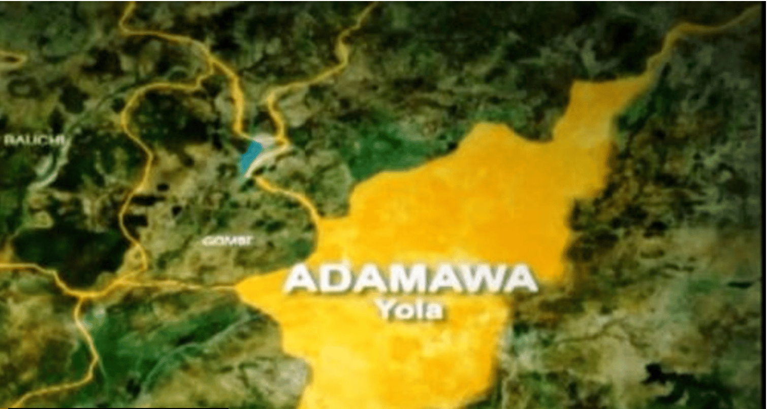 Government Shuts Down Adamawa Schools As Several Children Die Of Measles Outbreak