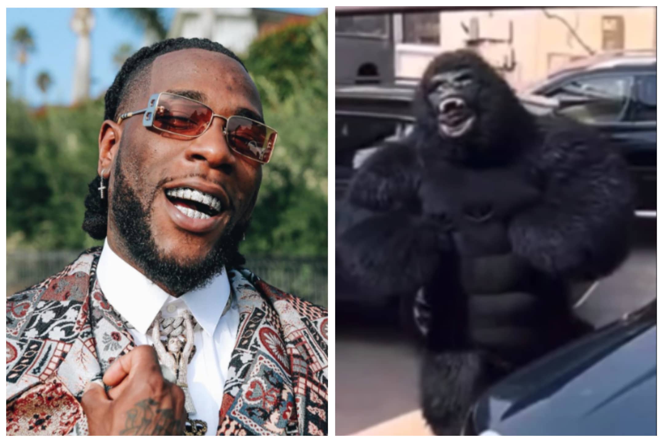 Burnaboy Steps Out In Animal Form 'Gorilla', Attacks Popular Nigerian Skit  Maker At His Home (Video)
